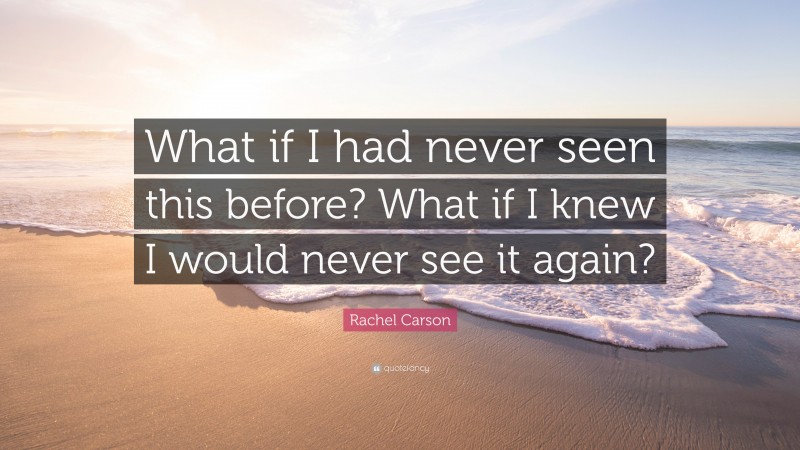 Rachel Carson Quote: “What if I had never seen this before? What if I knew I would never see it again?”