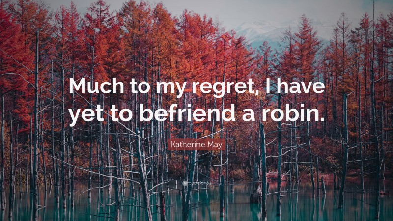 Katherine May Quote: “Much to my regret, I have yet to befriend a robin.”