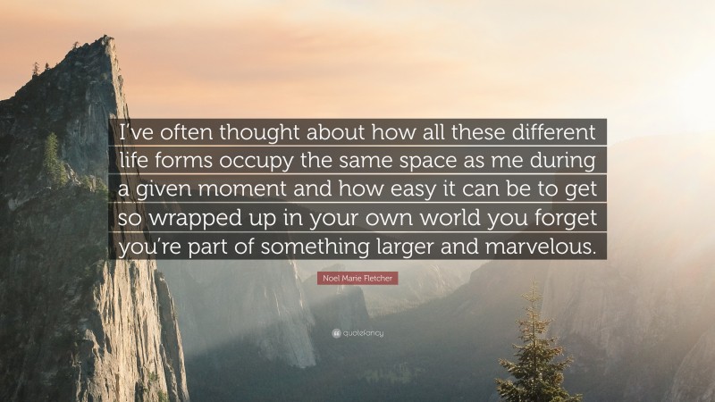 Noel Marie Fletcher Quote: “I’ve often thought about how all these different life forms occupy the same space as me during a given moment and how easy it can be to get so wrapped up in your own world you forget you’re part of something larger and marvelous.”