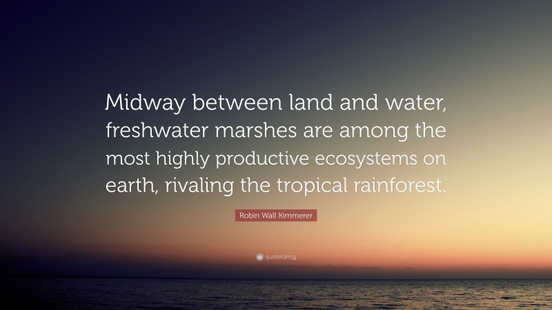 Robin Wall Kimmerer Quote: “Midway between land and water, freshwater marshes are among the most highly productive ecosystems on earth, rivaling the tropical rainforest.”