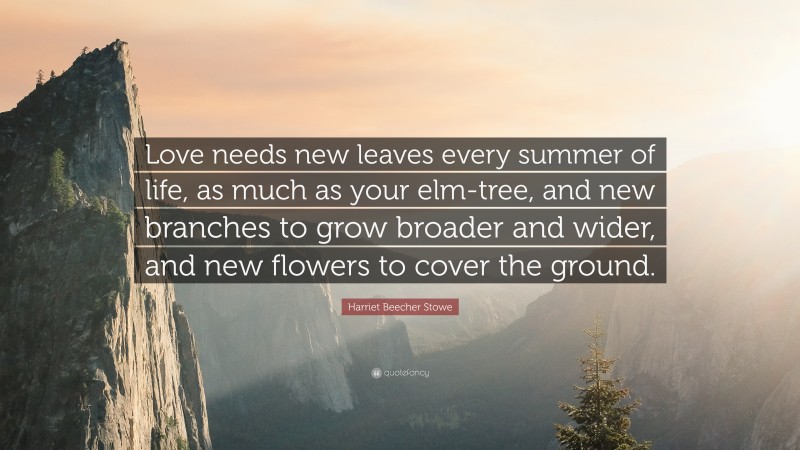 Harriet Beecher Stowe Quote: “Love needs new leaves every summer of life, as much as your elm-tree, and new branches to grow broader and wider, and new flowers to cover the ground.”