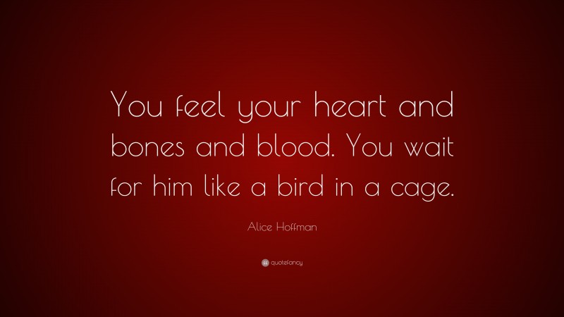 Alice Hoffman Quote: “You feel your heart and bones and blood. You wait for him like a bird in a cage.”