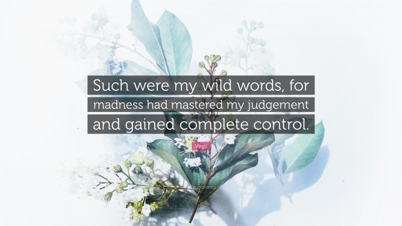Virgil Quote: “Such were my wild words, for madness had mastered my judgement and gained complete control.”