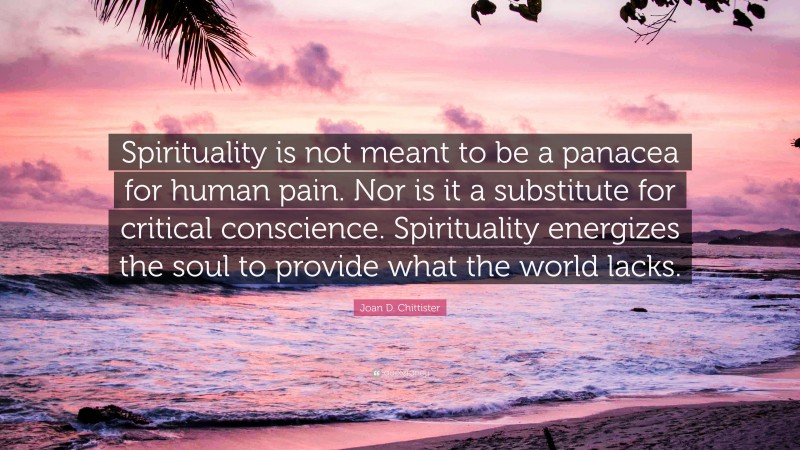 Joan D. Chittister Quote: “Spirituality is not meant to be a panacea for human pain. Nor is it a substitute for critical conscience. Spirituality energizes the soul to provide what the world lacks.”