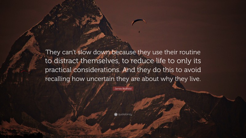 James Redfield Quote: “They can’t slow down because they use their routine to distract themselves, to reduce life to only its practical considerations. And they do this to avoid recalling how uncertain they are about why they live.”