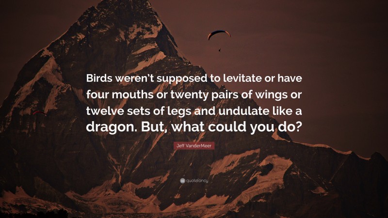 Jeff VanderMeer Quote: “Birds weren’t supposed to levitate or have four mouths or twenty pairs of wings or twelve sets of legs and undulate like a dragon. But, what could you do?”