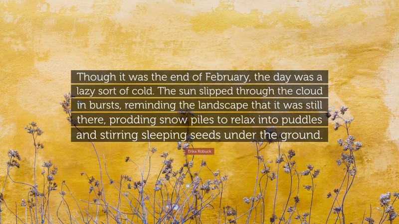 Erika Robuck Quote: “Though it was the end of February, the day was a lazy sort of cold. The sun slipped through the cloud in bursts, reminding the landscape that it was still there, prodding snow piles to relax into puddles and stirring sleeping seeds under the ground.”