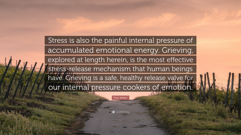 Pete Walker Quote: “Stress is also the painful internal pressure of accumulated emotional energy. Grieving, explored at length herein, is the most effective stress-release mechanism that human beings have. Grieving is a safe, healthy release valve for our internal pressure cookers of emotion.”