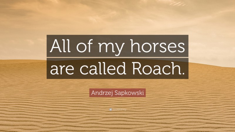 Andrzej Sapkowski Quote: “All of my horses are called Roach.”