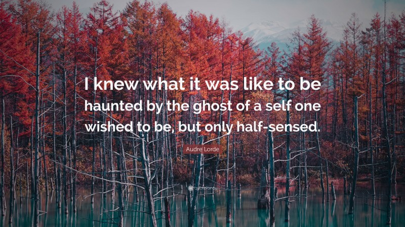 Audre Lorde Quote: “I knew what it was like to be haunted by the ghost of a self one wished to be, but only half-sensed.”
