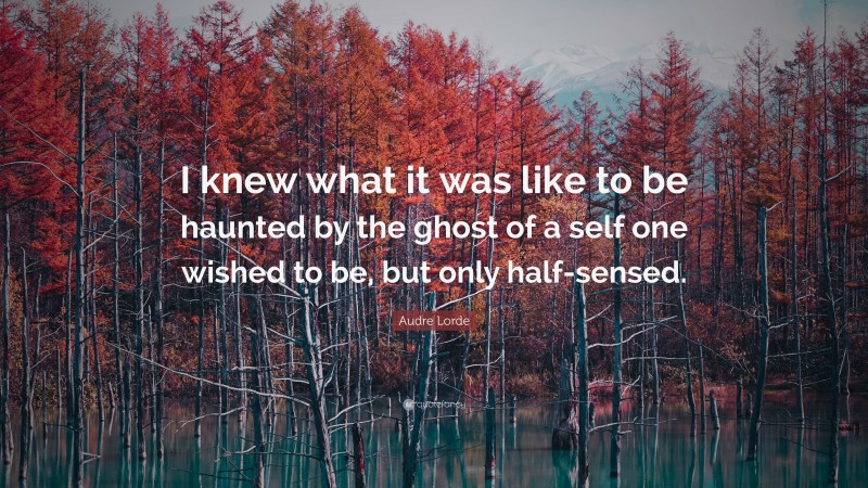 Audre Lorde Quote: “I knew what it was like to be haunted by the ghost of a self one wished to be, but only half-sensed.”