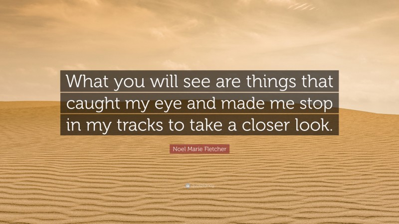 Noel Marie Fletcher Quote: “What you will see are things that caught my eye and made me stop in my tracks to take a closer look.”
