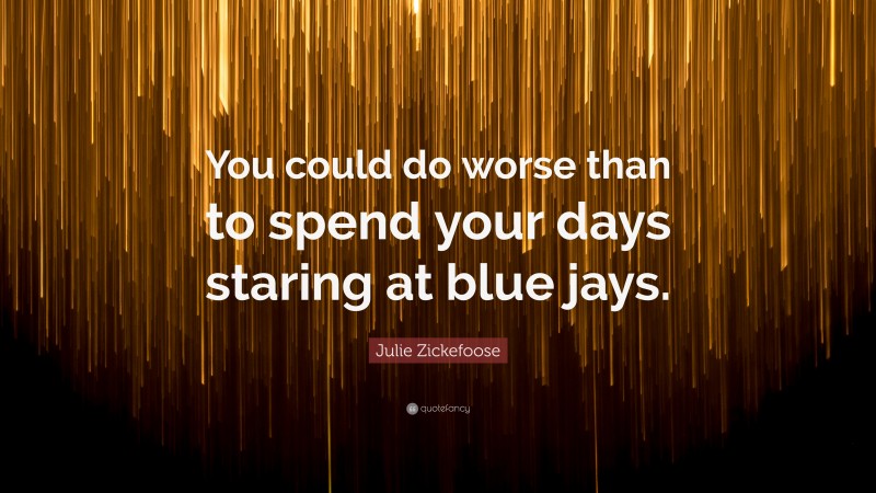 Julie Zickefoose Quote: “You could do worse than to spend your days staring at blue jays.”