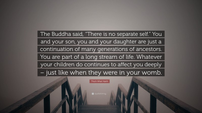 Thich Nhat Hanh Quote: “The Buddha said, “There is no separate self.” You and your son, you and your daughter are just a continuation of many generations of ancestors. You are part of a long stream of life. Whatever your children do continues to affect you deeply – just like when they were in your womb.”