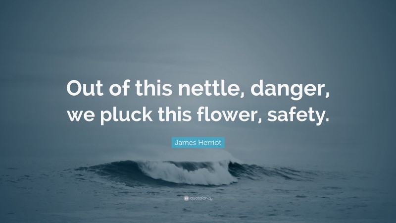 James Herriot Quote: “Out of this nettle, danger, we pluck this flower, safety.”