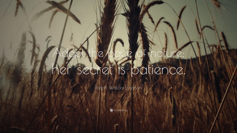 Ralph Waldo Emerson Quote: “Adopt the pace of nature: her secret is patience.”