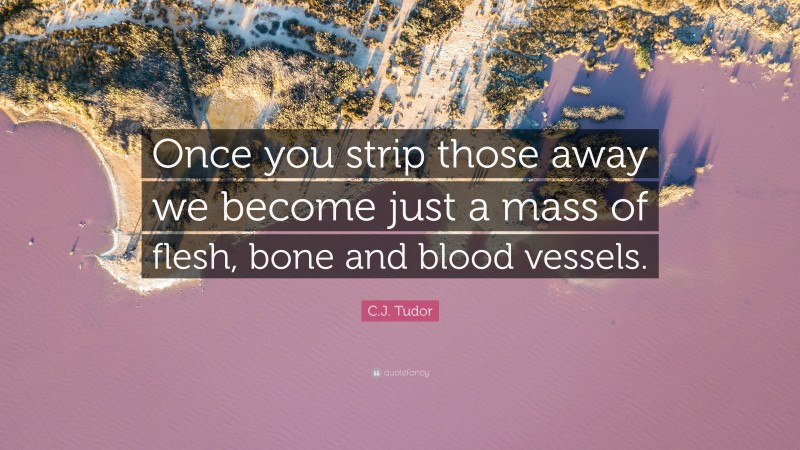 C.J. Tudor Quote: “Once you strip those away we become just a mass of flesh, bone and blood vessels.”