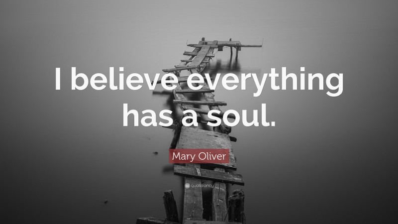 Mary Oliver Quote: “I believe everything has a soul.”