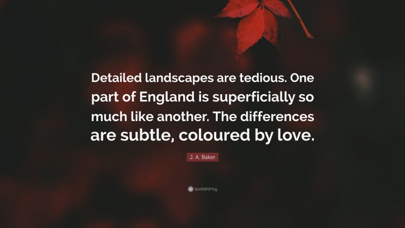 J. A. Baker Quote: “Detailed landscapes are tedious. One part of England is superficially so much like another. The differences are subtle, coloured by love.”