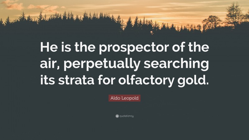 Aldo Leopold Quote: “He is the prospector of the air, perpetually searching its strata for olfactory gold.”