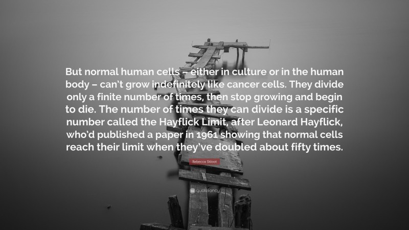 Rebecca Skloot Quote: “But normal human cells – either in culture or in the human body – can’t grow indefinitely like cancer cells. They divide only a finite number of times, then stop growing and begin to die. The number of times they can divide is a specific number called the Hayflick Limit, after Leonard Hayflick, who’d published a paper in 1961 showing that normal cells reach their limit when they’ve doubled about fifty times.”