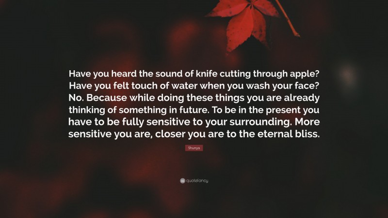 Shunya Quote: “Have you heard the sound of knife cutting through apple? Have you felt touch of water when you wash your face? No. Because while doing these things you are already thinking of something in future. To be in the present you have to be fully sensitive to your surrounding. More sensitive you are, closer you are to the eternal bliss.”