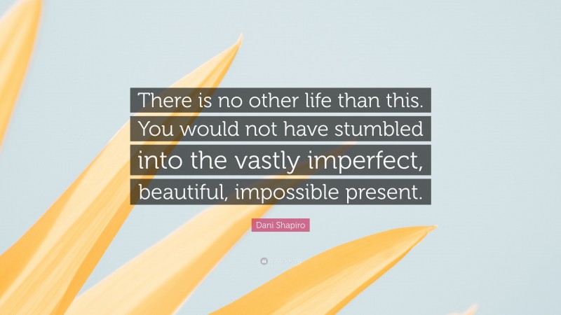 Dani Shapiro Quote: “There is no other life than this. You would not have stumbled into the vastly imperfect, beautiful, impossible present.”