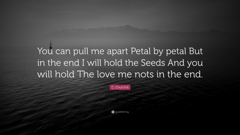 C. Churchill Quote: “You can pull me apart Petal by petal But in the end I will hold the Seeds And you will hold The love me nots in the end.”