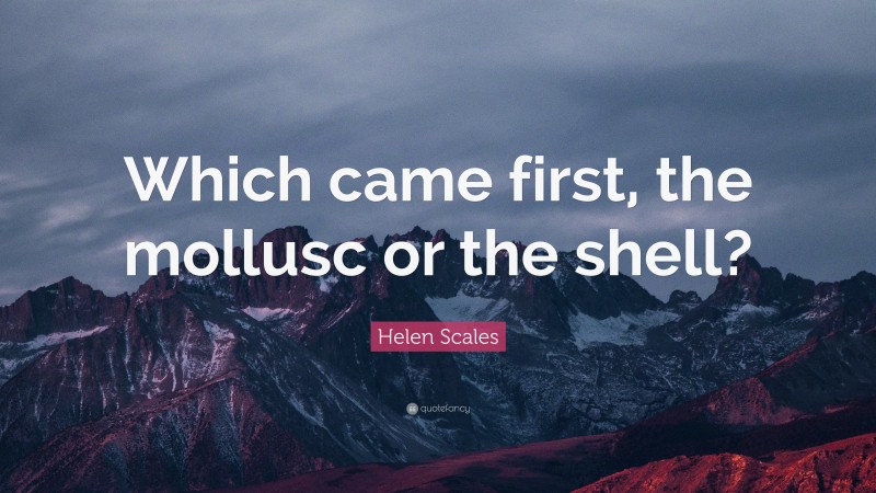 Helen Scales Quote: “Which came first, the mollusc or the shell?”