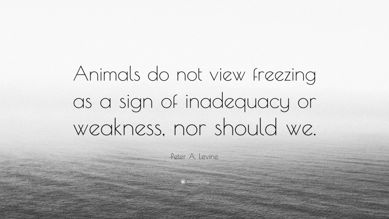 Peter A. Levine Quote: “Animals do not view freezing as a sign of inadequacy or weakness, nor should we.”