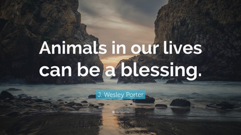 J. Wesley Porter Quote: “Animals in our lives can be a blessing.”
