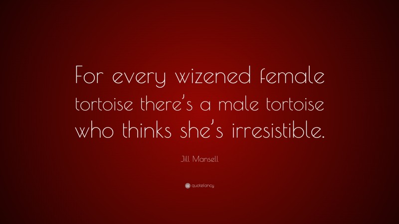 Jill Mansell Quote: “For every wizened female tortoise there’s a male tortoise who thinks she’s irresistible.”