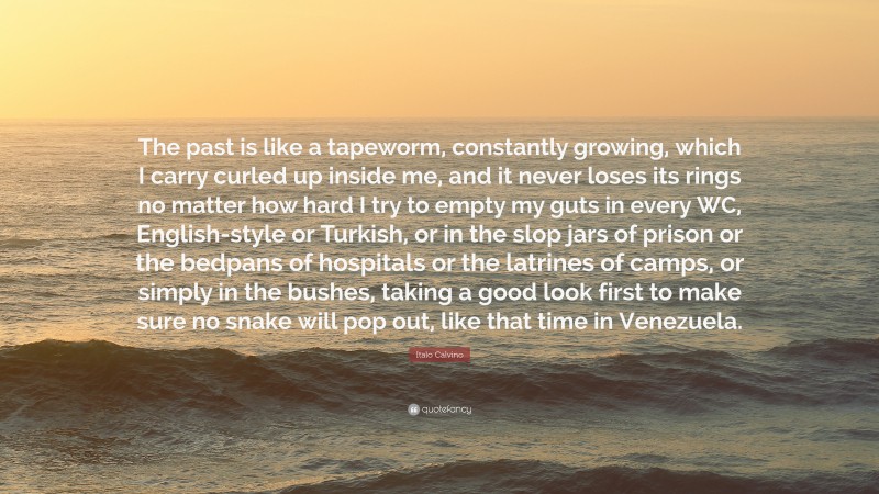 Italo Calvino Quote: “The past is like a tapeworm, constantly growing, which I carry curled up inside me, and it never loses its rings no matter how hard I try to empty my guts in every WC, English-style or Turkish, or in the slop jars of prison or the bedpans of hospitals or the latrines of camps, or simply in the bushes, taking a good look first to make sure no snake will pop out, like that time in Venezuela.”