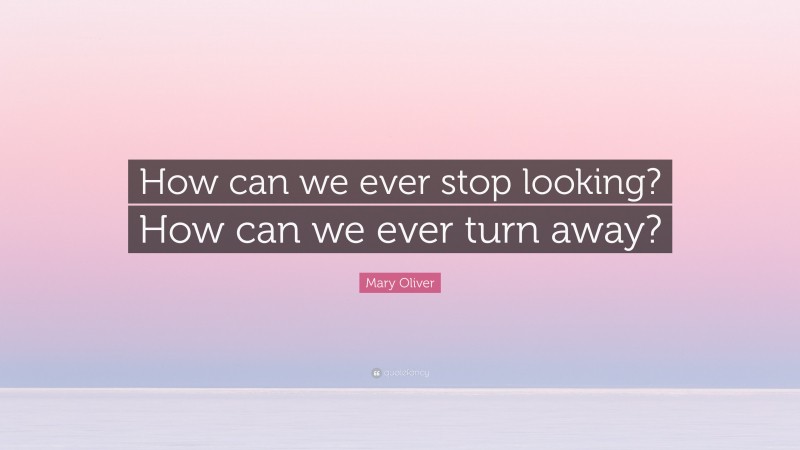 Mary Oliver Quote: “How can we ever stop looking? How can we ever turn away?”