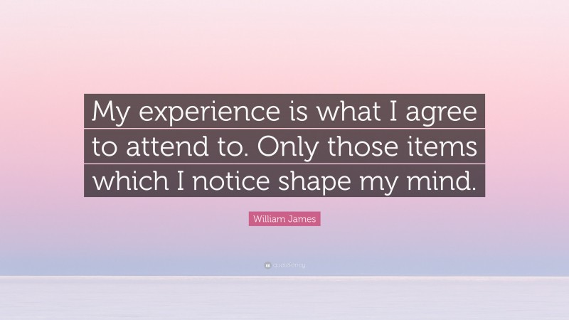 William James Quote: “My experience is what I agree to attend to. Only those items which I notice shape my mind.”