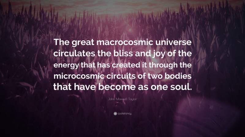 John Maxwell Taylor Quote: “The great macrocosmic universe circulates the bliss and joy of the energy that has created it through the microcosmic circuits of two bodies that have become as one soul.”