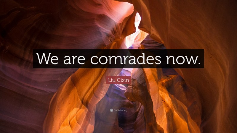 Liu Cixin Quote: “We are comrades now.”