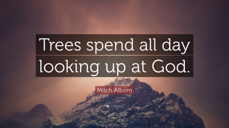 Mitch Albom Quote: “Trees spend all day looking up at God.”