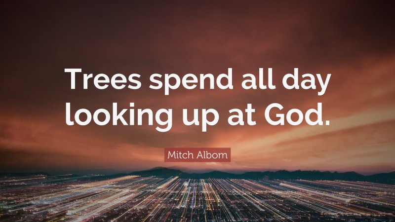 Mitch Albom Quote: “Trees spend all day looking up at God.”