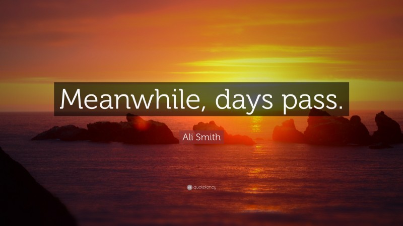 Ali Smith Quote: “Meanwhile, days pass.”