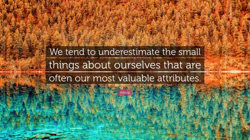 Aesop Quote: “We tend to underestimate the small things about ourselves that are often our most valuable attributes.”