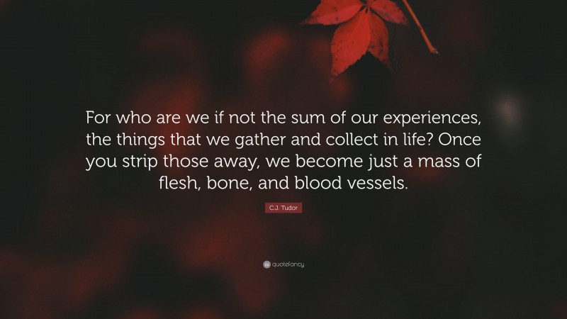 C.J. Tudor Quote: “For who are we if not the sum of our experiences, the things that we gather and collect in life? Once you strip those away, we become just a mass of flesh, bone, and blood vessels.”