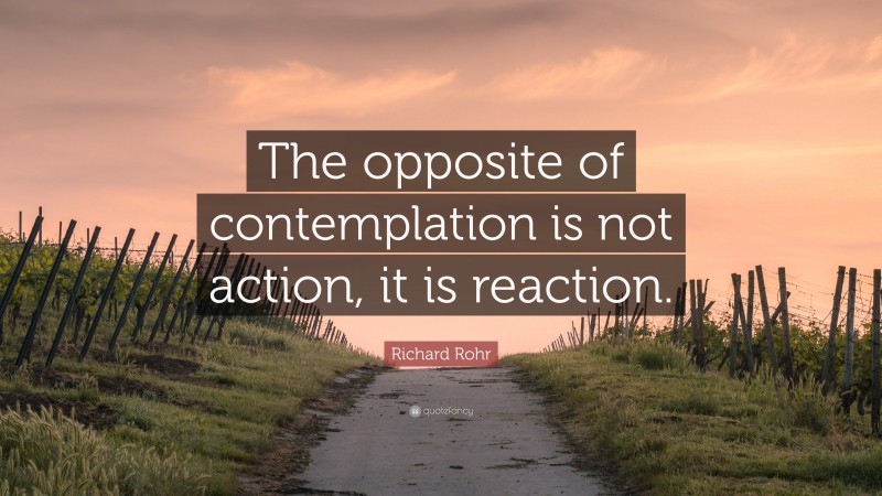 Richard Rohr Quote: “The opposite of contemplation is not action, it is reaction.”