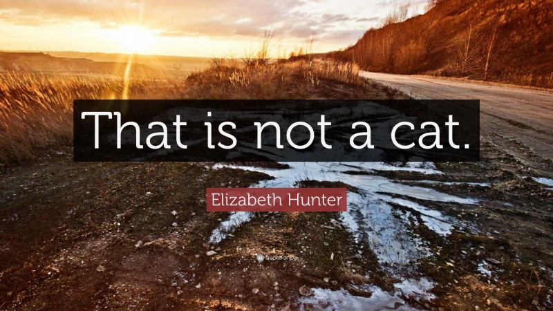 Elizabeth Hunter Quote: “That is not a cat.”