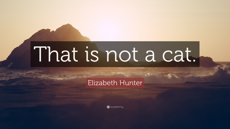 Elizabeth Hunter Quote: “That is not a cat.”