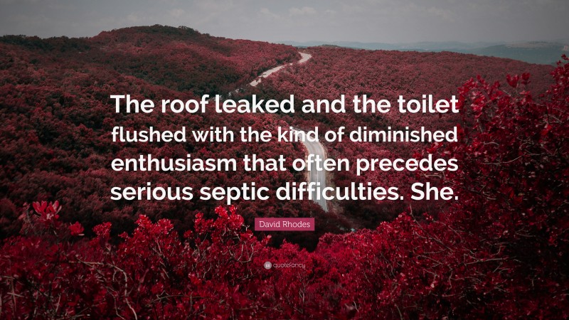 David Rhodes Quote: “The roof leaked and the toilet flushed with the kind of diminished enthusiasm that often precedes serious septic difficulties. She.”