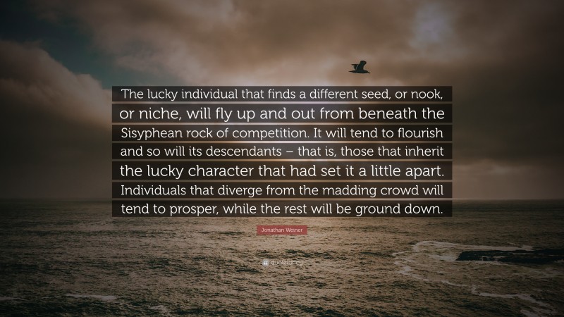 Jonathan Weiner Quote: “The lucky individual that finds a different seed, or nook, or niche, will fly up and out from beneath the Sisyphean rock of competition. It will tend to flourish and so will its descendants – that is, those that inherit the lucky character that had set it a little apart. Individuals that diverge from the madding crowd will tend to prosper, while the rest will be ground down.”