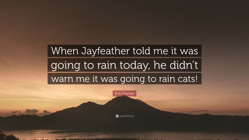 Erin Hunter Quote: “When Jayfeather told me it was going to rain today, he didn’t warn me it was going to rain cats!”