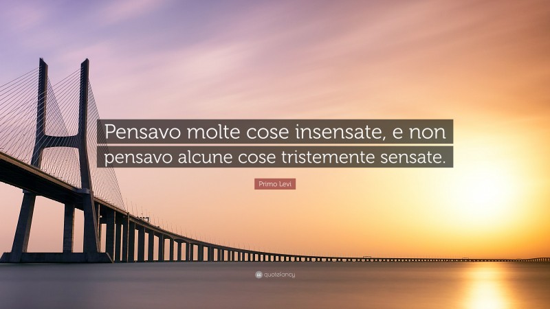 Primo Levi Quote: “Pensavo molte cose insensate, e non pensavo alcune cose tristemente sensate.”