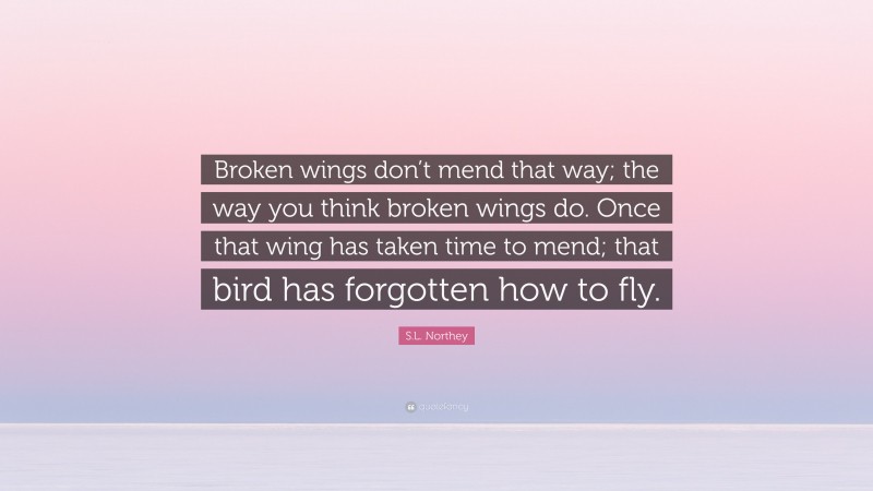 S.L. Northey Quote: “Broken wings don’t mend that way; the way you think broken wings do. Once that wing has taken time to mend; that bird has forgotten how to fly.”